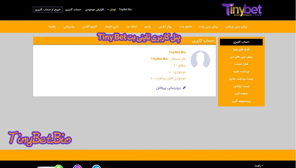 پنل کاربری تاینی بت Tiny Bet